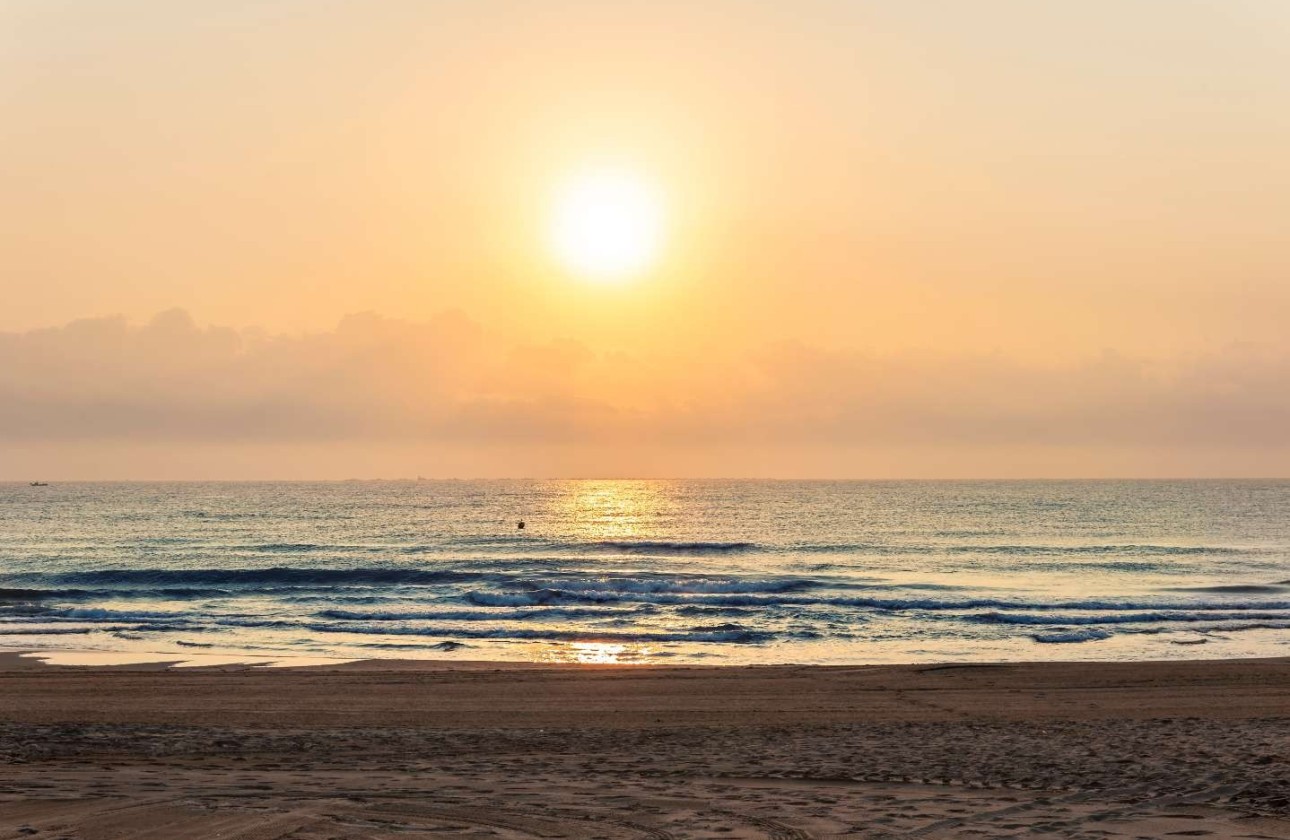 Herverkoop - Appartement / flat - Guardamar del Segura