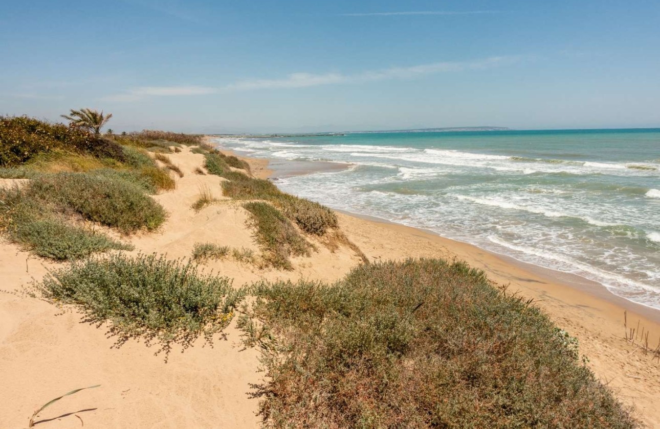 Herverkoop - Appartement / flat - Guardamar del Segura