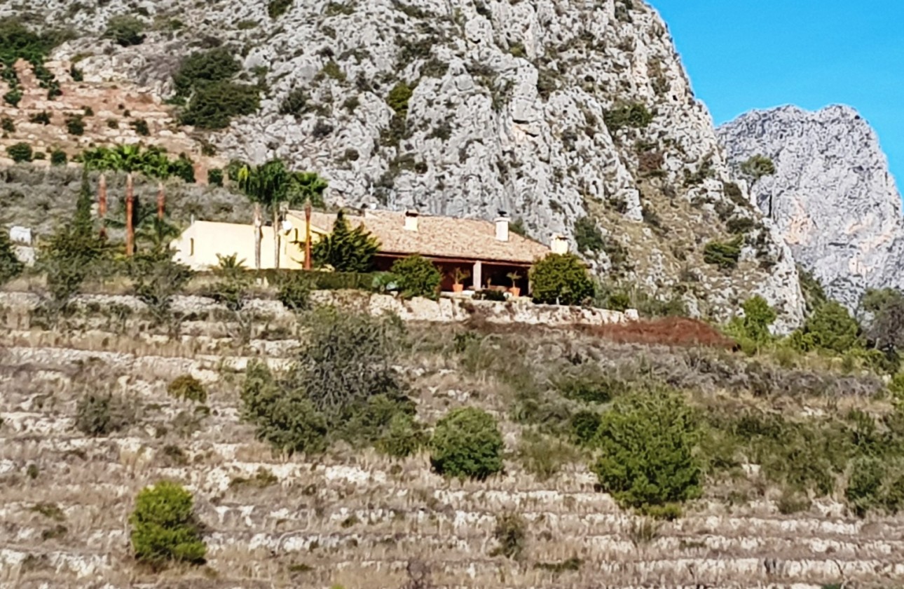 Herverkoop - Finca - Bolulla