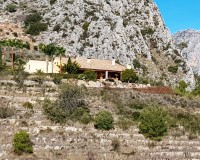 Herverkoop - Finca - Bolulla