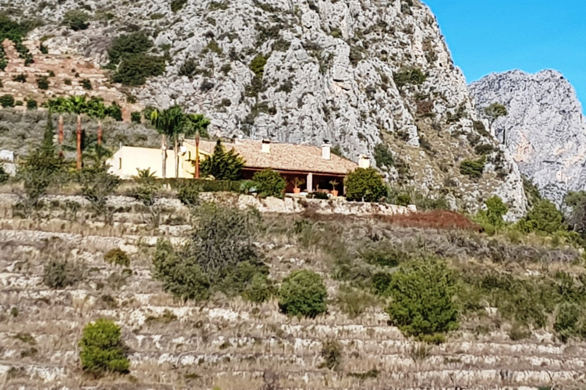 Herverkoop - Finca - Bolulla