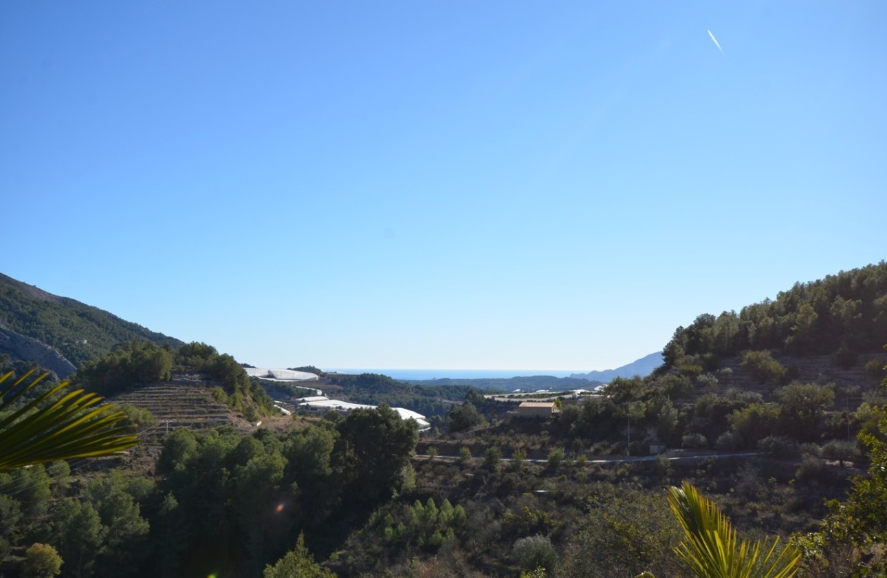 Herverkoop - Finca - Bolulla