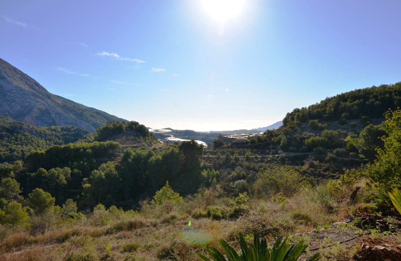 Herverkoop - Finca - Bolulla