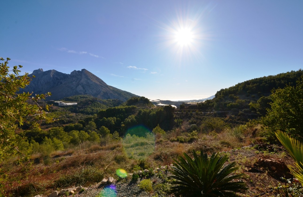 Herverkoop - Finca - Bolulla