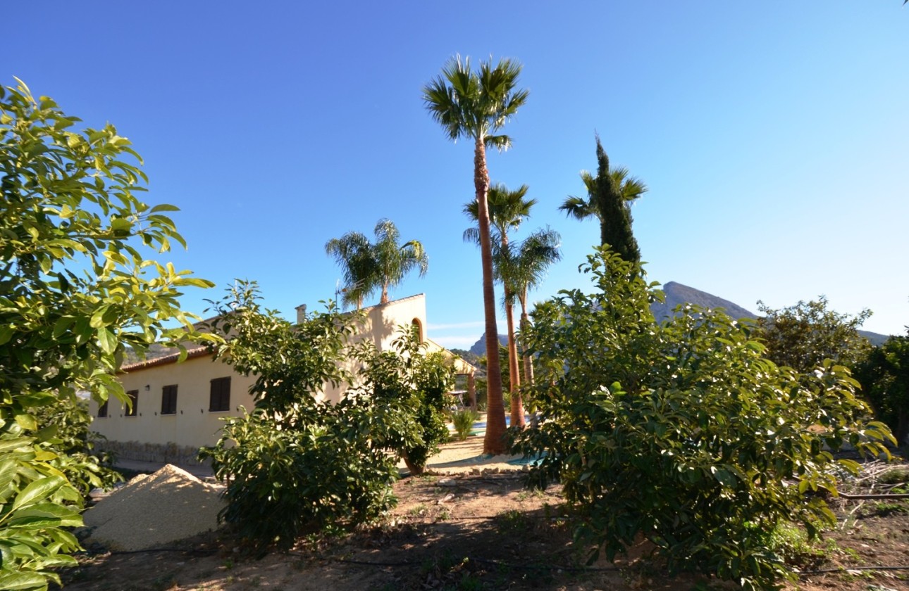 Herverkoop - Finca - Bolulla