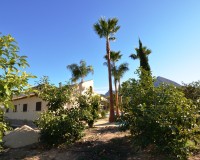 Herverkoop - Finca - Bolulla