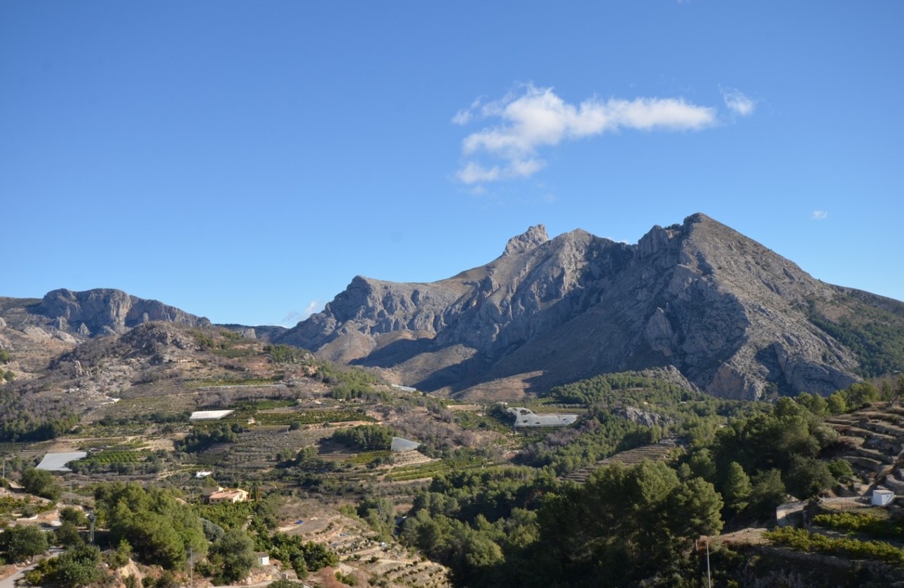 Herverkoop - Finca - Bolulla