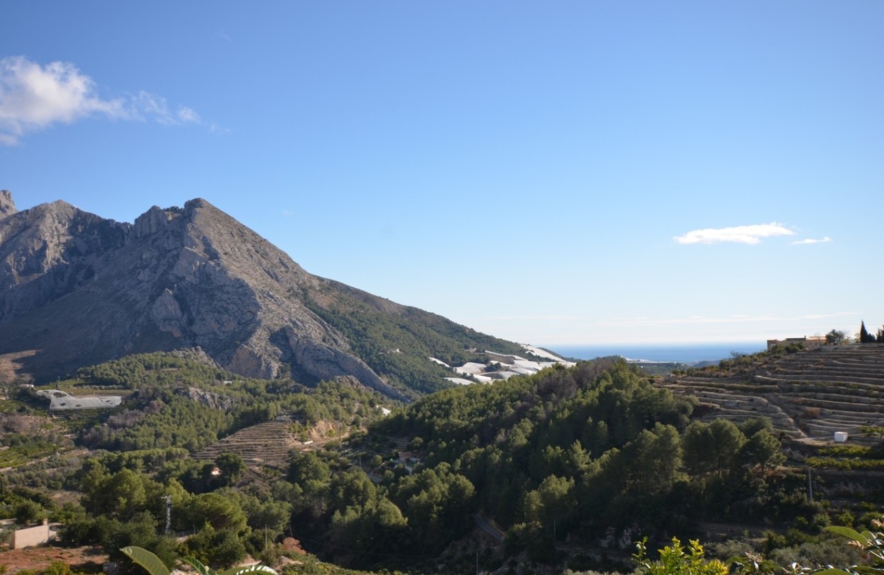 Herverkoop - Finca - Bolulla