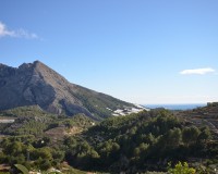 Herverkoop - Finca - Bolulla