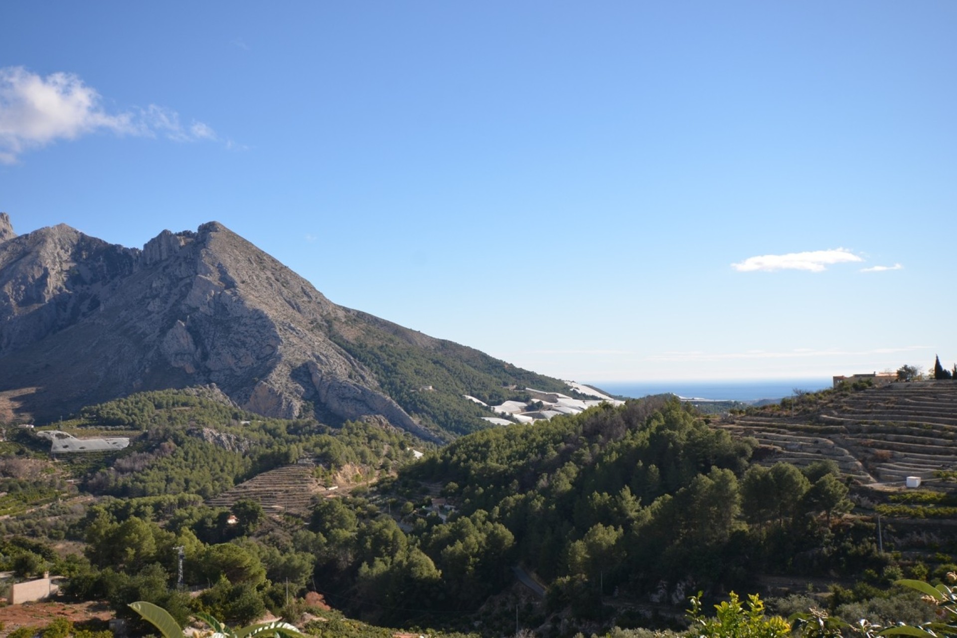 Herverkoop - Finca - Bolulla