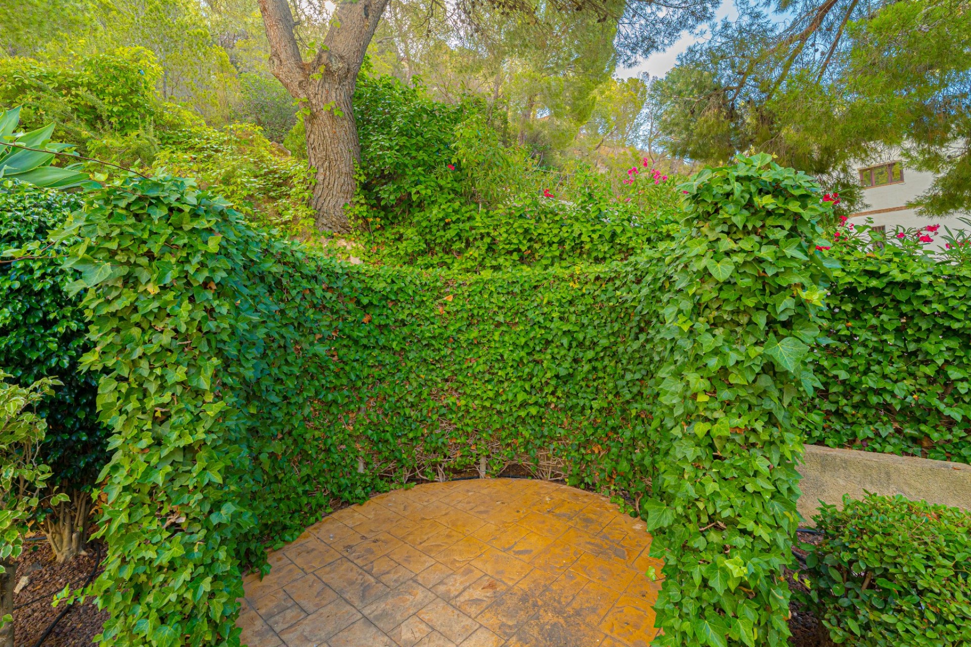 Herverkoop - Villa - Altea