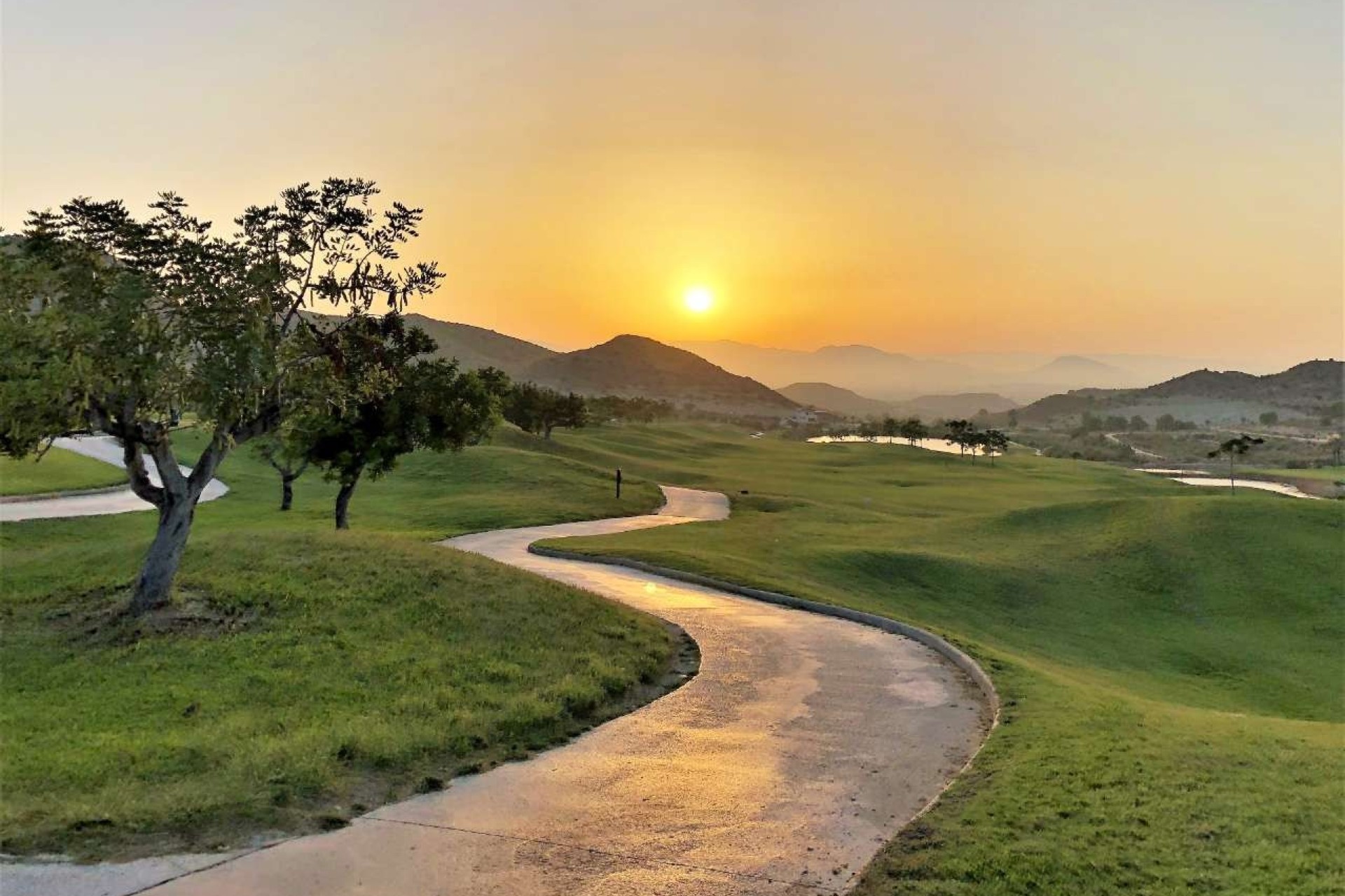 New Build - Apartment / flat - Monforte del Cid - Font del Llop