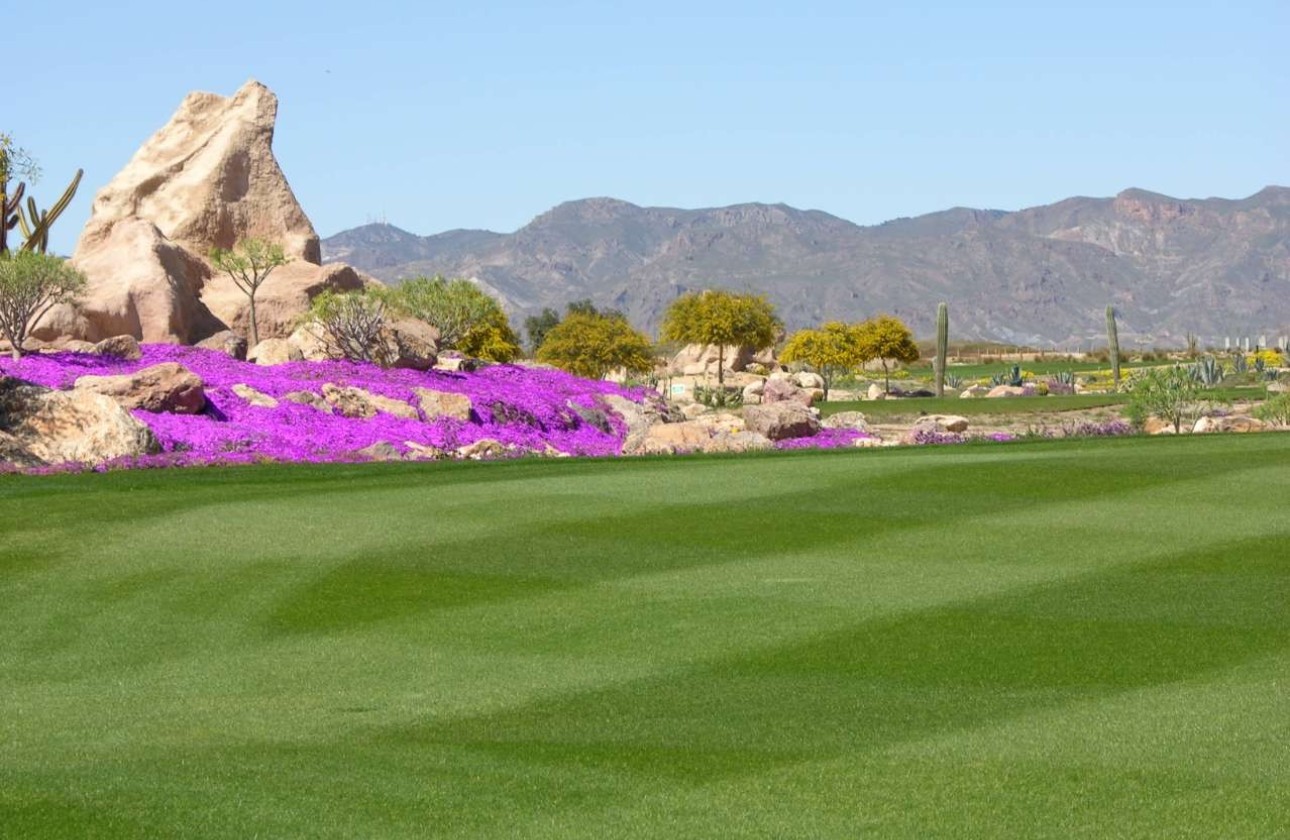 New Build - Villa - Cuevas del Almanzora - Villaricos