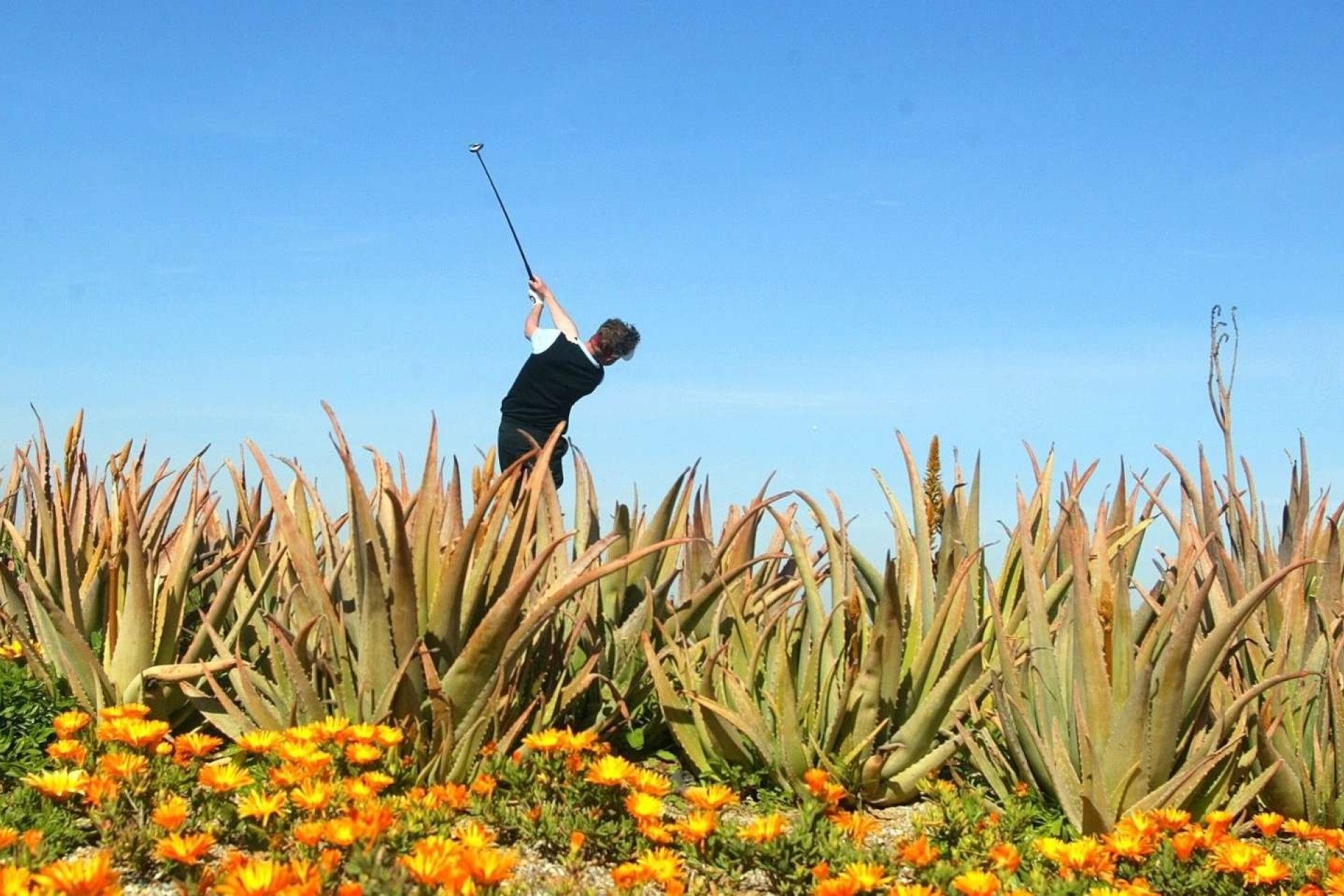 Nieuwbouw Woningen - Appartement / flat - Cuevas del Almanzora - Villaricos