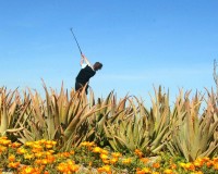 Nieuwbouw Woningen - Villa - Cuevas del Almanzora - Villaricos