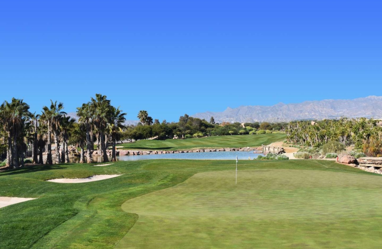 Obra nueva - Villa - Cuevas del Almanzora - Villaricos