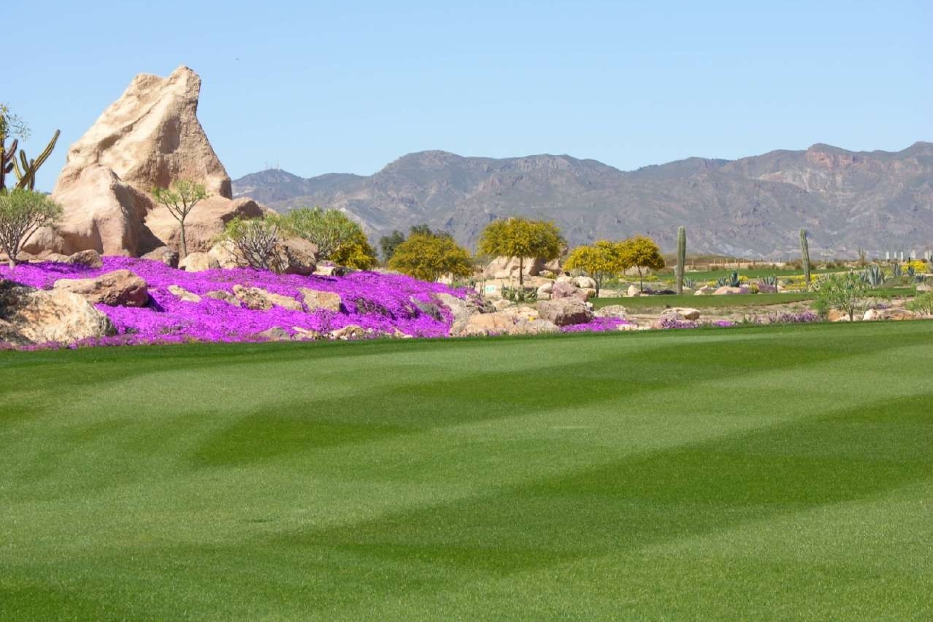 Obra nueva - Villa - Cuevas del Almanzora - Villaricos