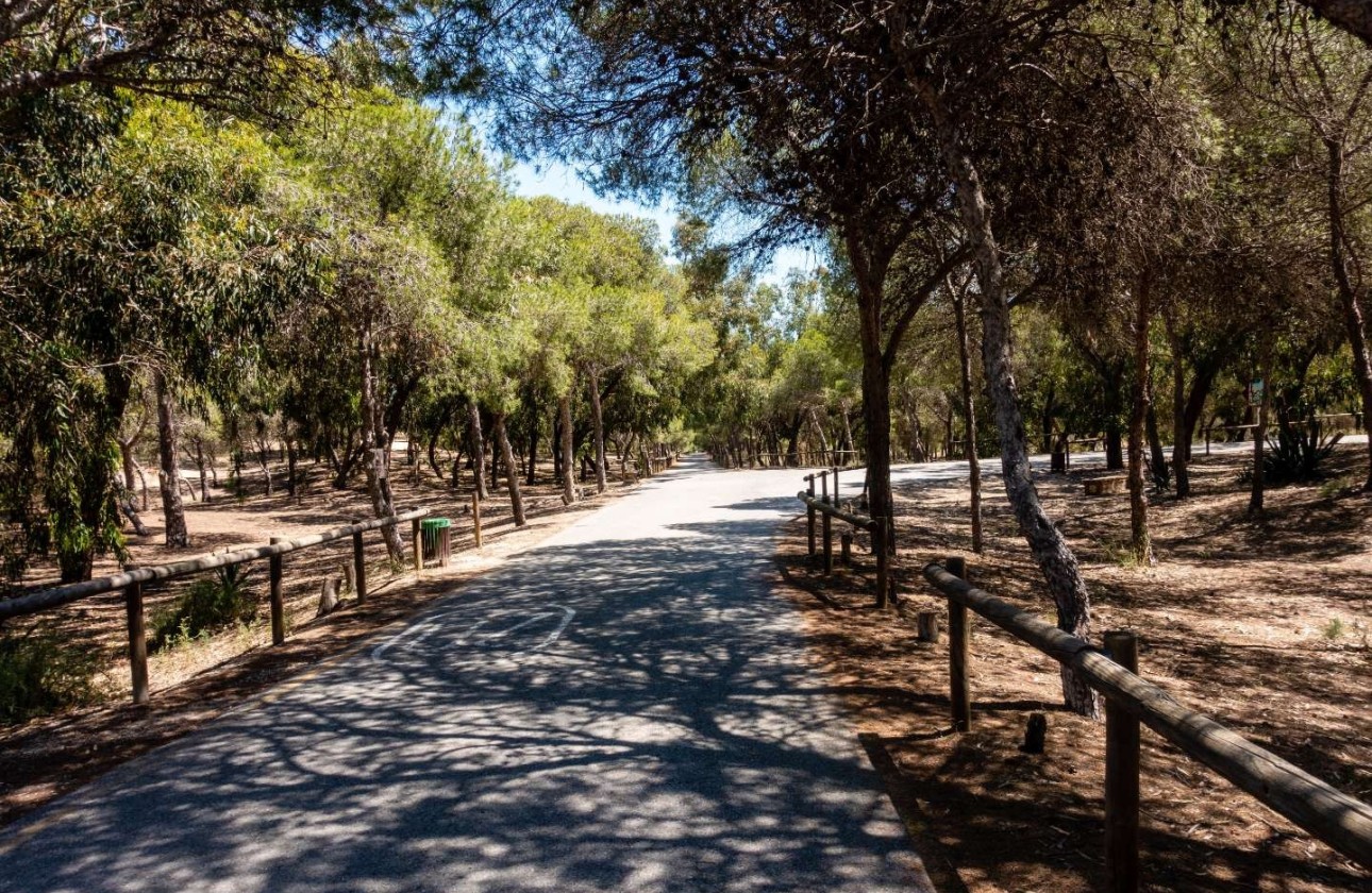 Resale - Apartment / flat - Guardamar del Segura