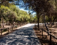 Resale - Apartment / flat - Guardamar del Segura