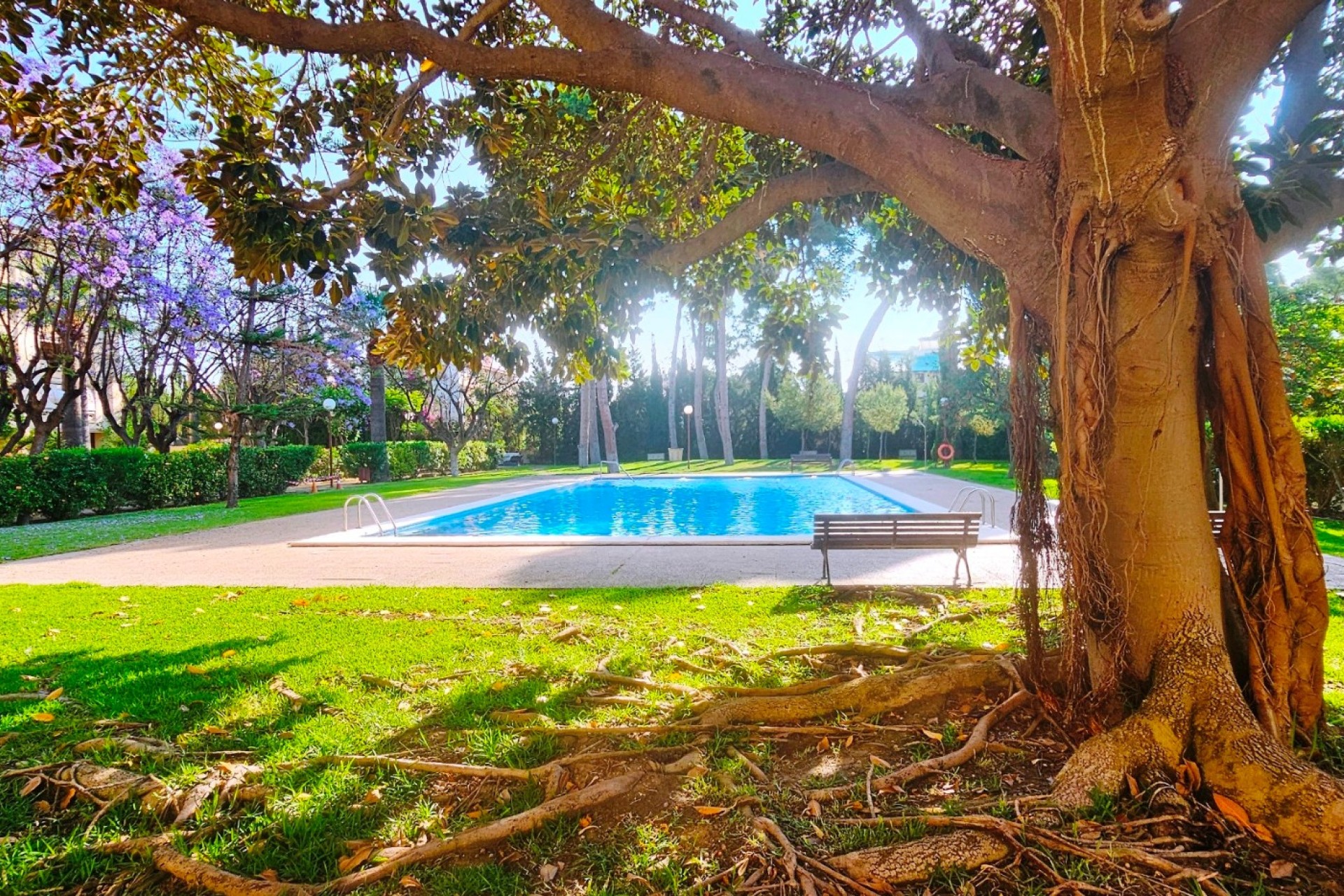 Resale - Apartment / flat - San Juan de Alicante