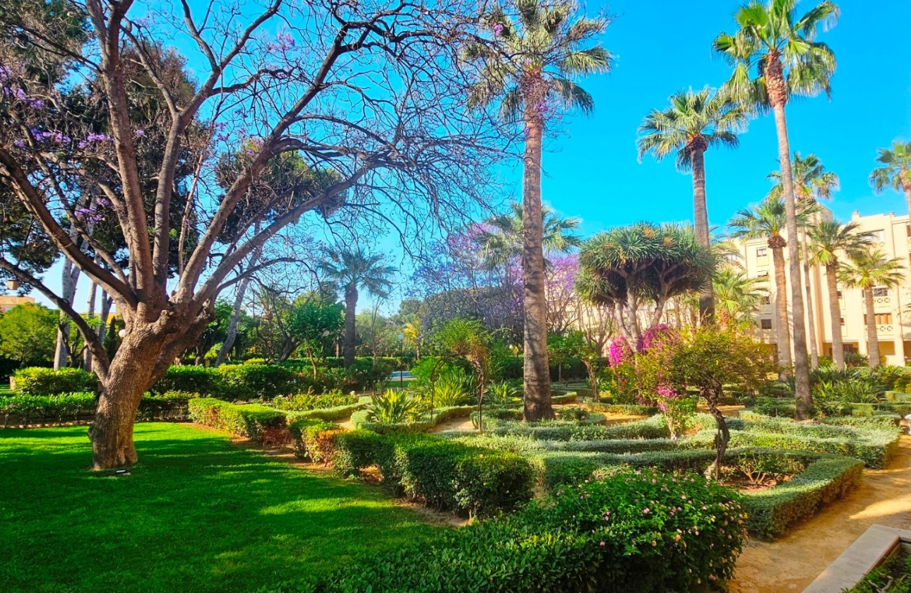 Resale - Apartment / flat - San Juan de Alicante