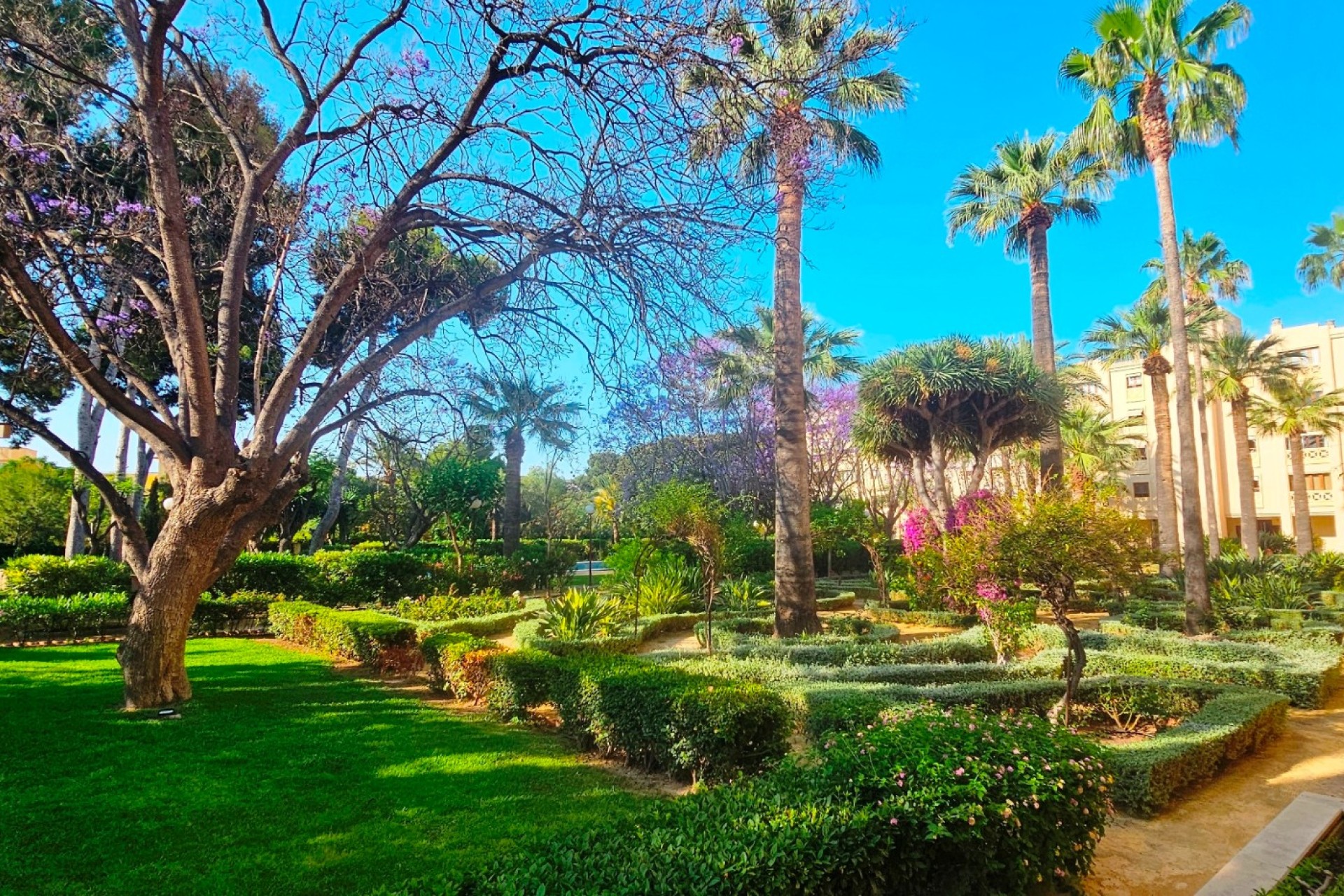 Resale - Apartment / flat - San Juan de Alicante