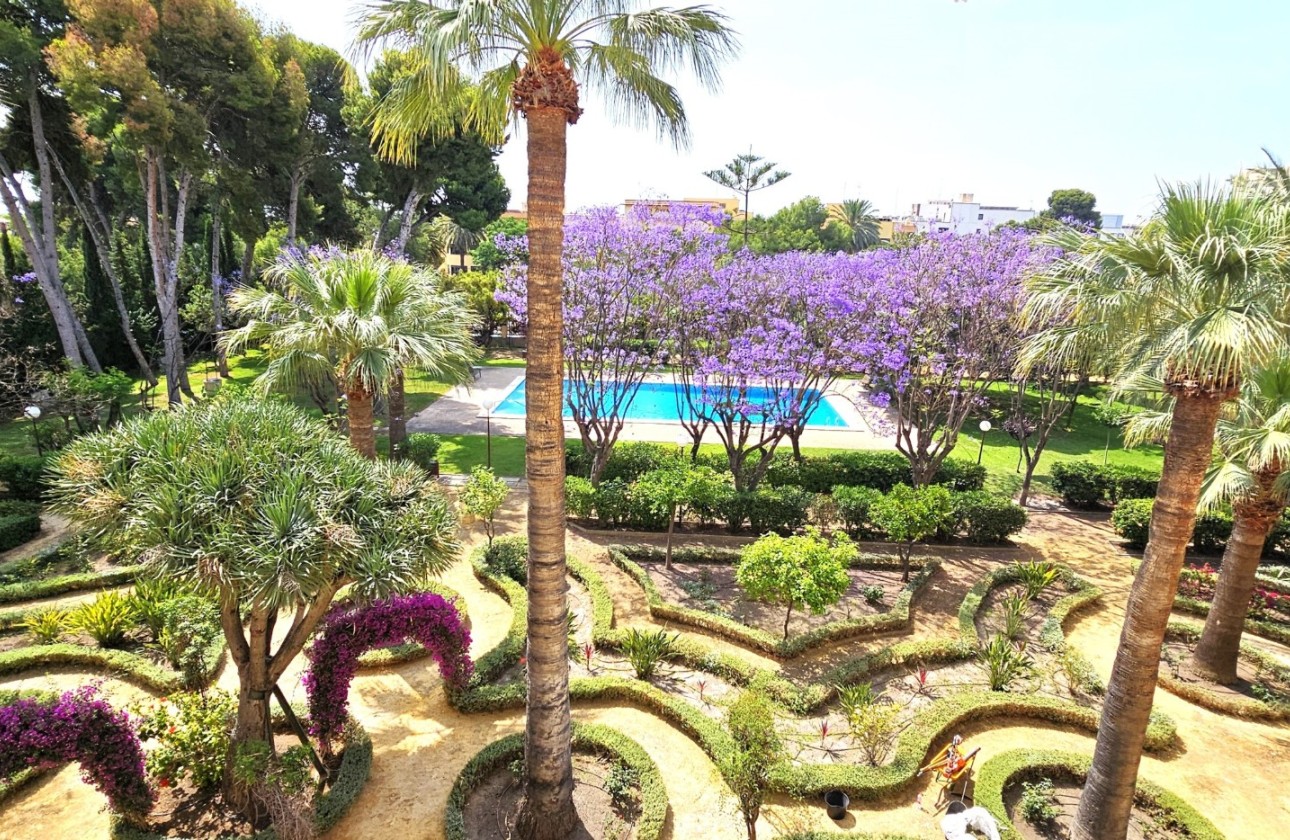 Resale - Apartment / flat - San Juan de Alicante