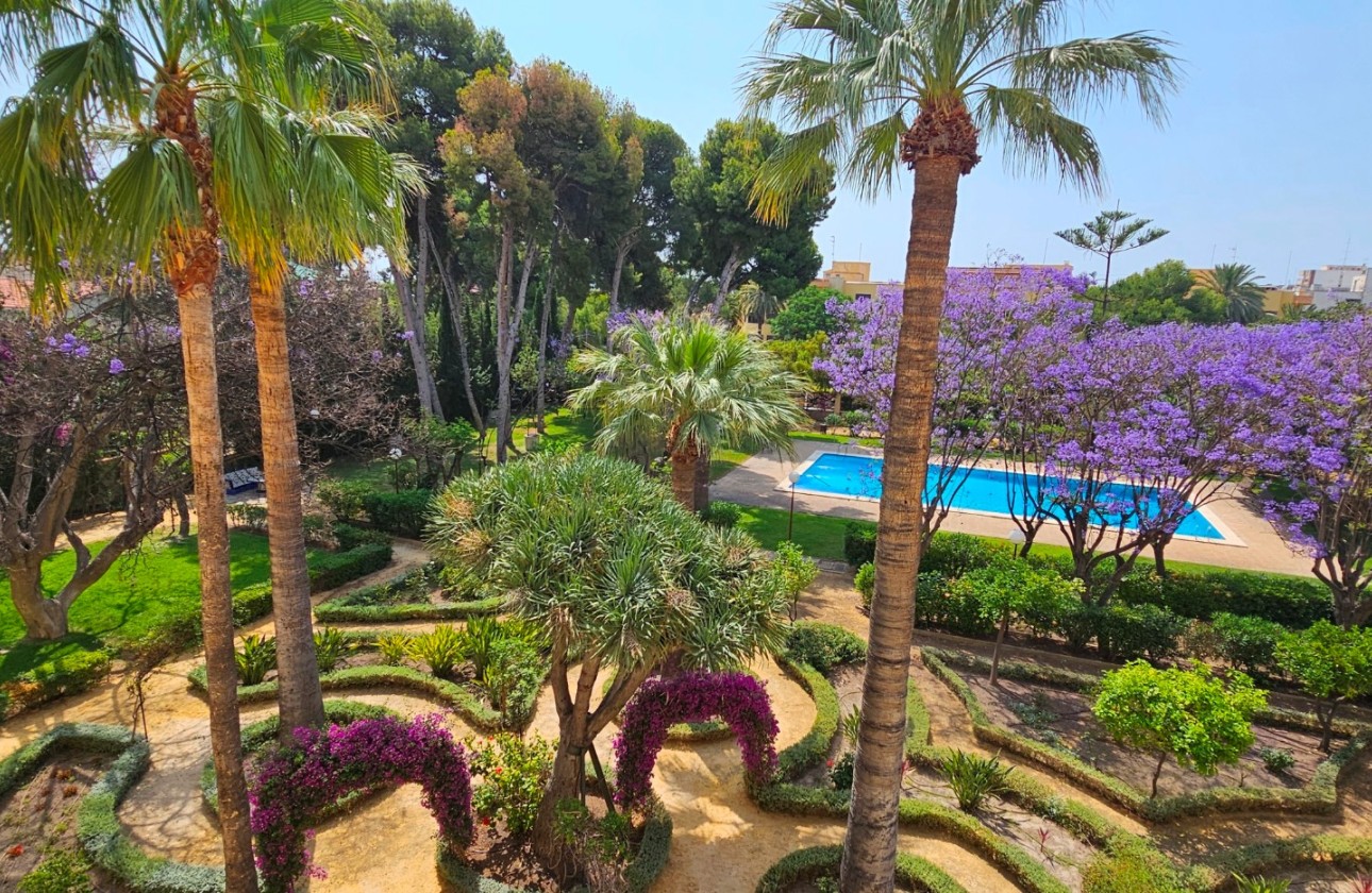 Resale - Apartment / flat - San Juan de Alicante