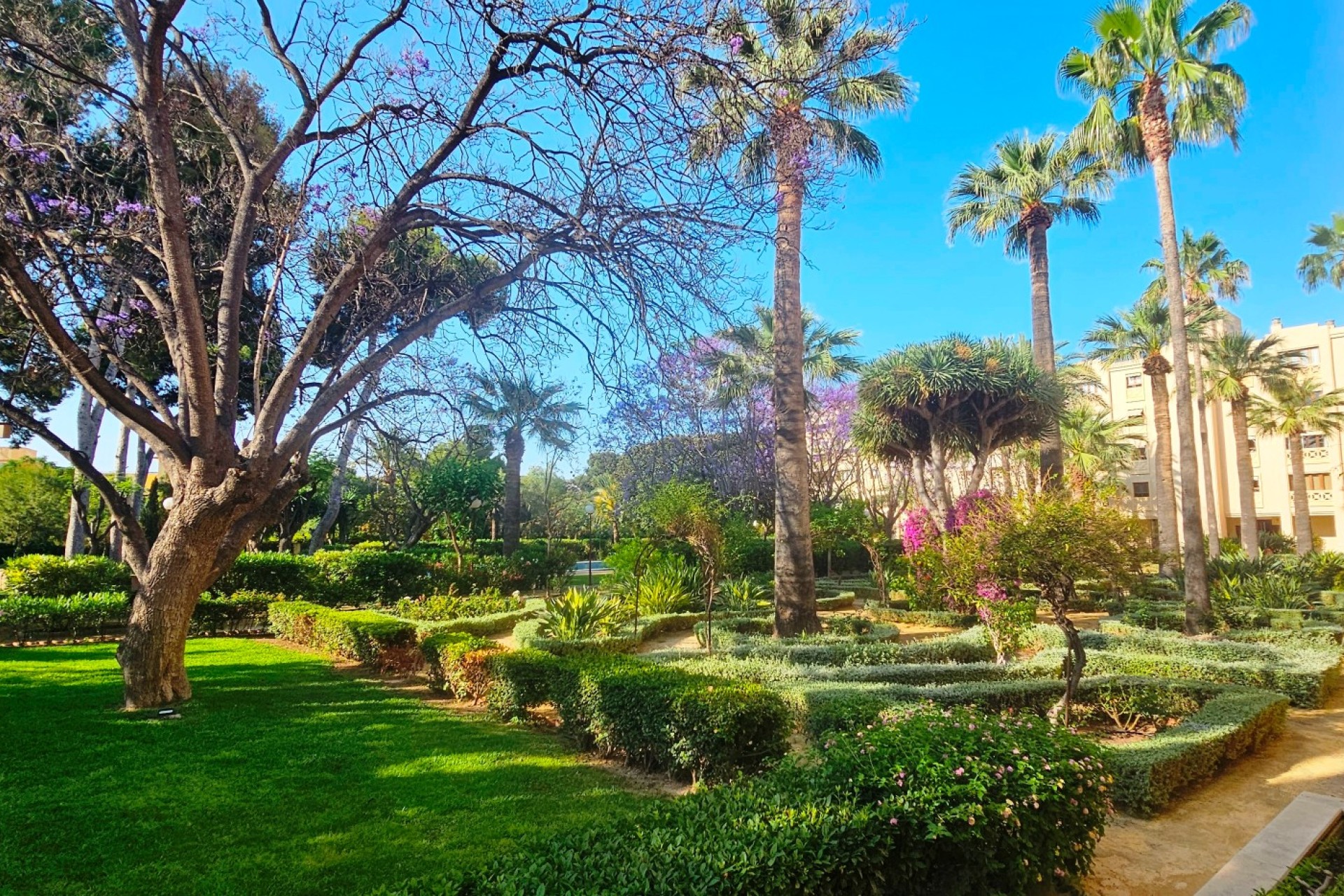 Resale - Apartment / flat - San Juan de Alicante