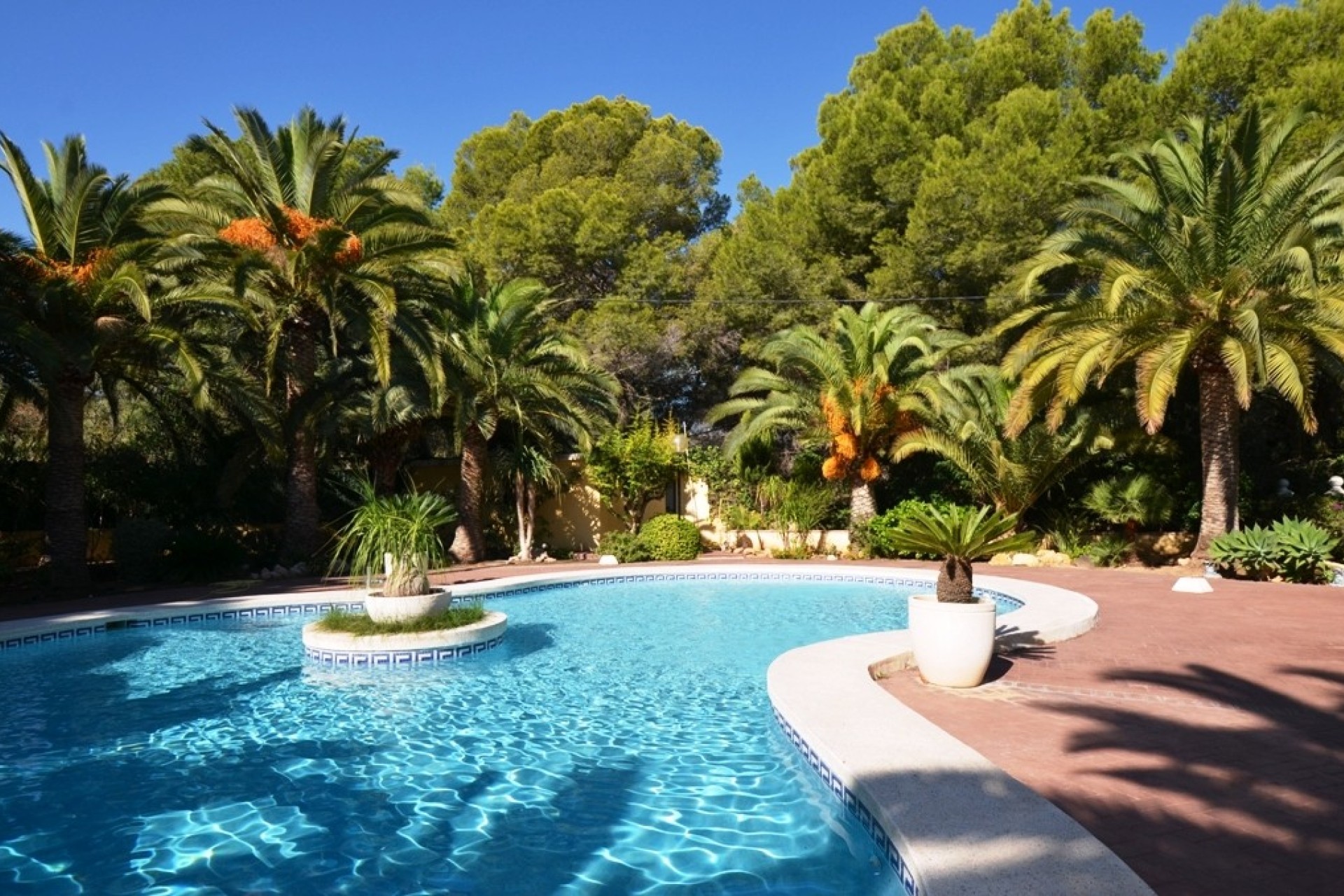 Resale - Finca - Alfas del Pí
