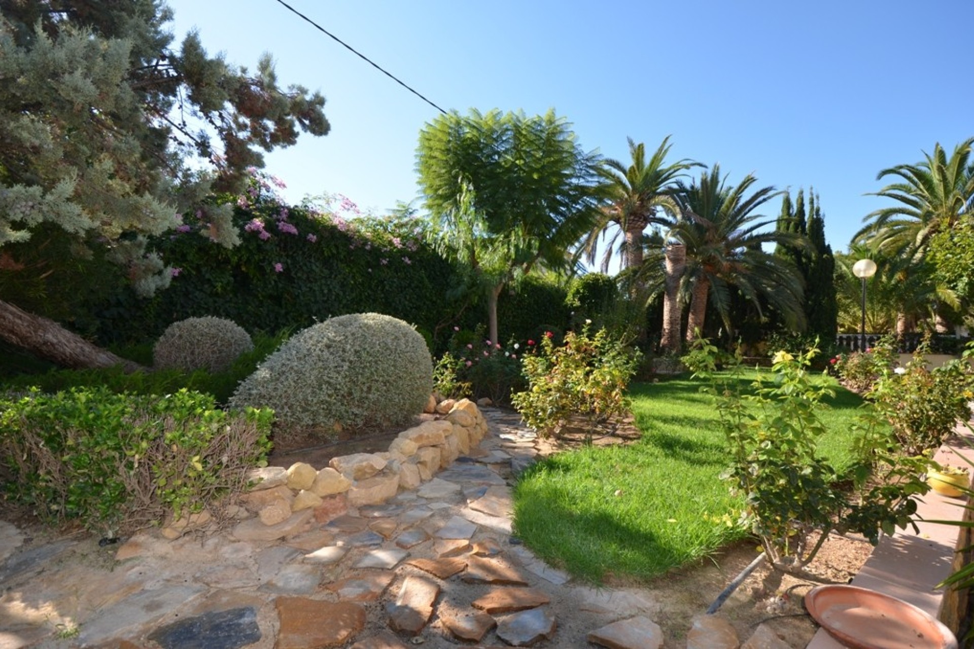 Resale - Finca - Alfas del Pí