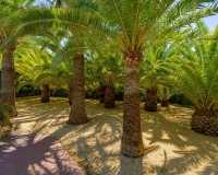 Resale - Finca - Alfas del Pí