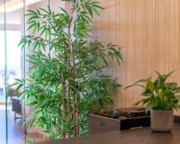 Reventa - Apartamento / piso - Altea