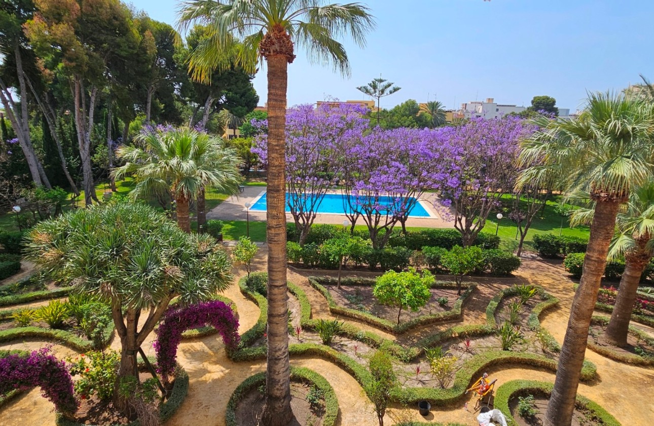 Reventa - Apartamento / piso - San Juan de Alicante