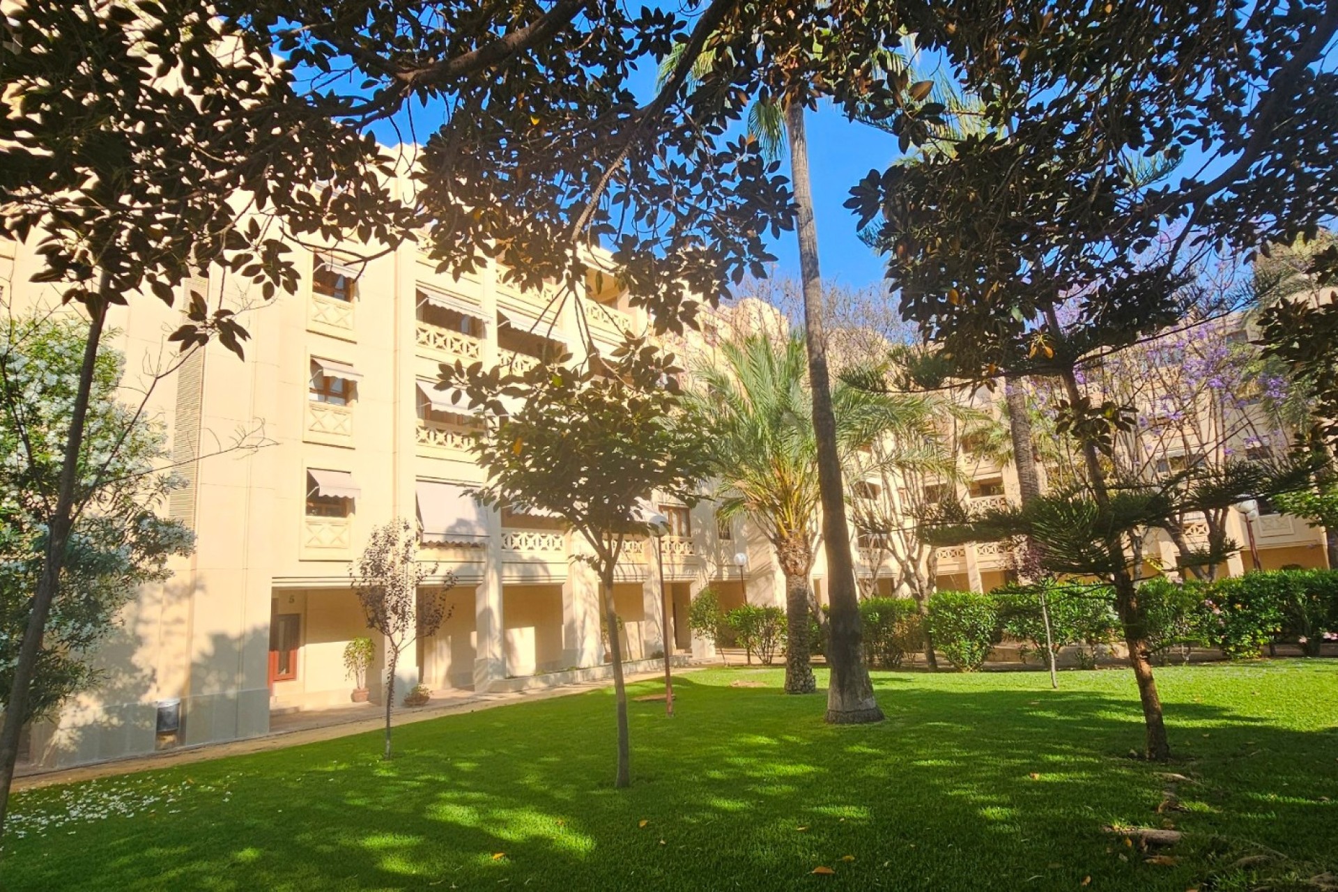 Reventa - Apartamento / piso - San Juan de Alicante