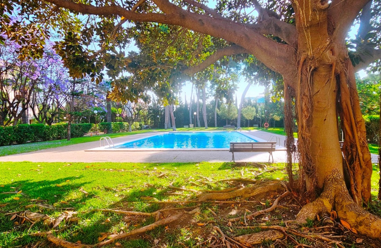 Reventa - Apartamento / piso - San Juan de Alicante