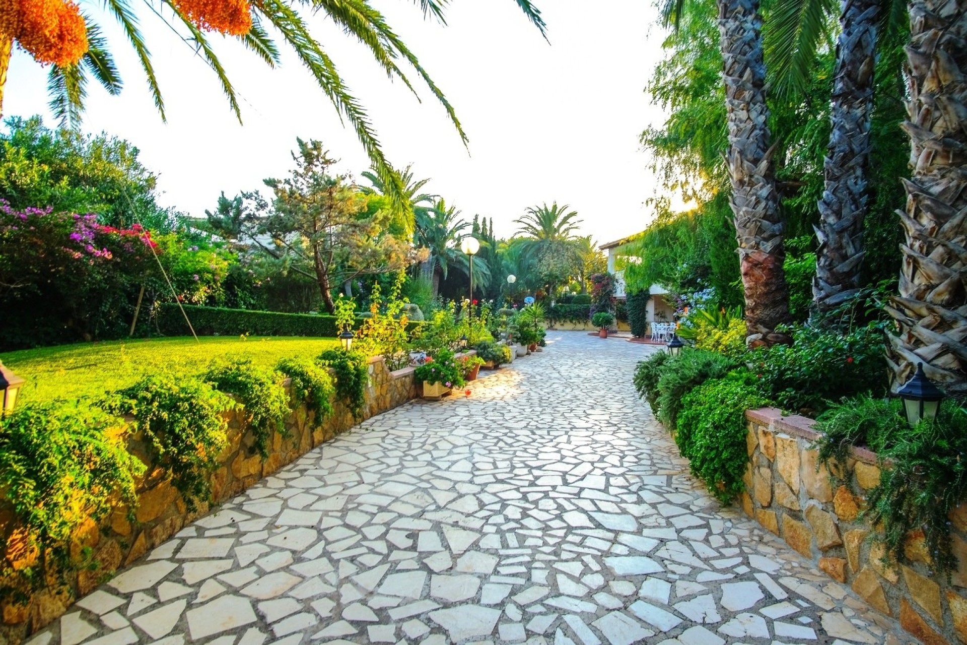 Reventa - Finca - Alfas del Pí