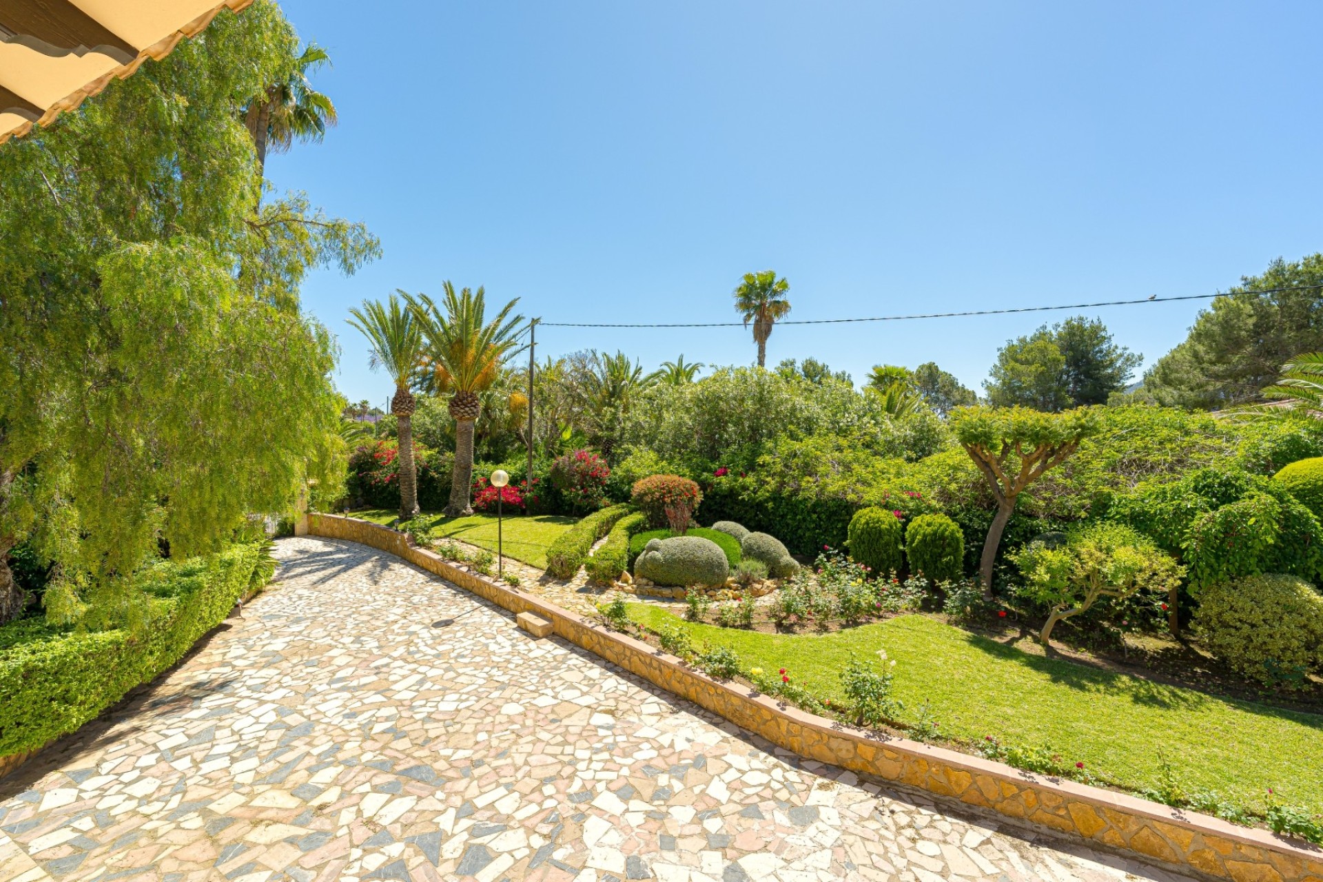Reventa - Finca - Alfas del Pí