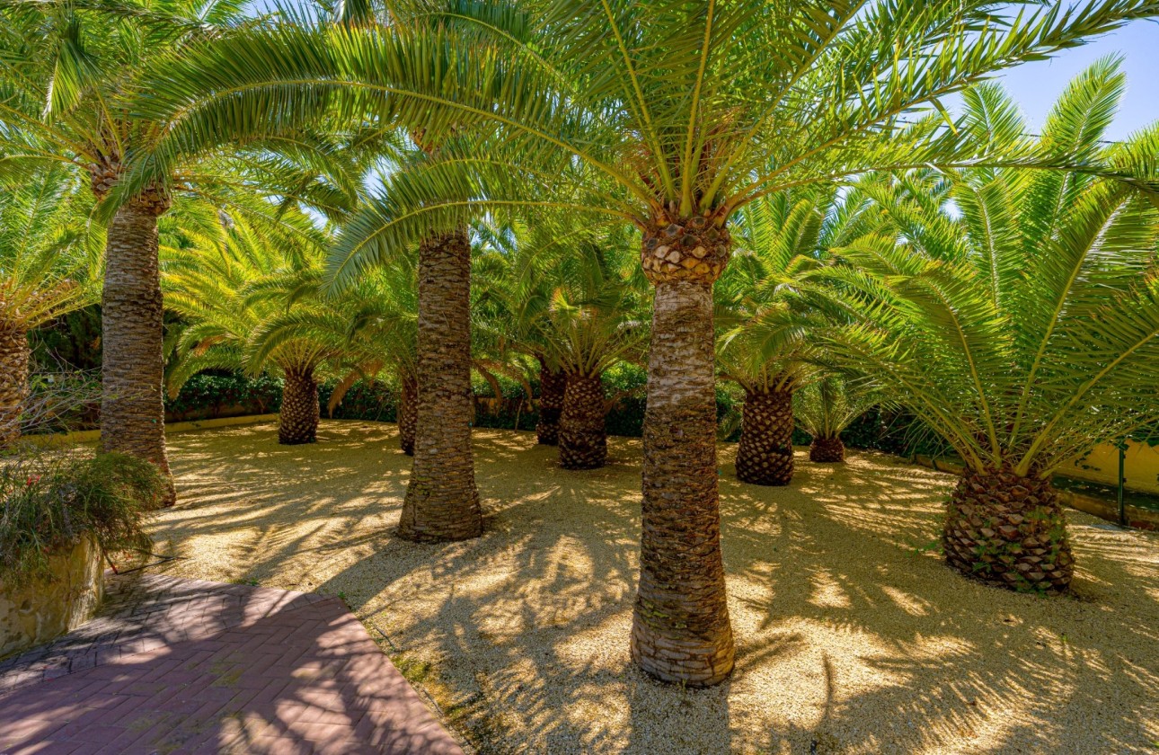 Reventa - Finca - Alfas del Pí