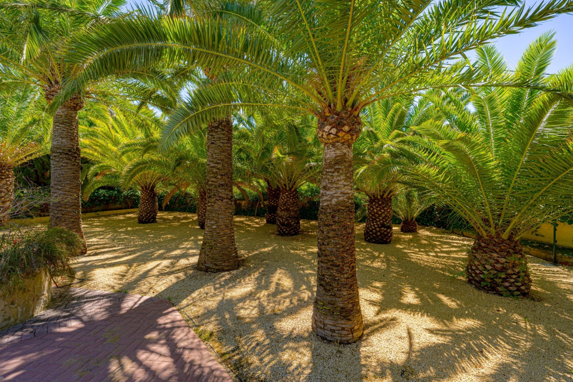 Reventa - Finca - Alfas del Pí