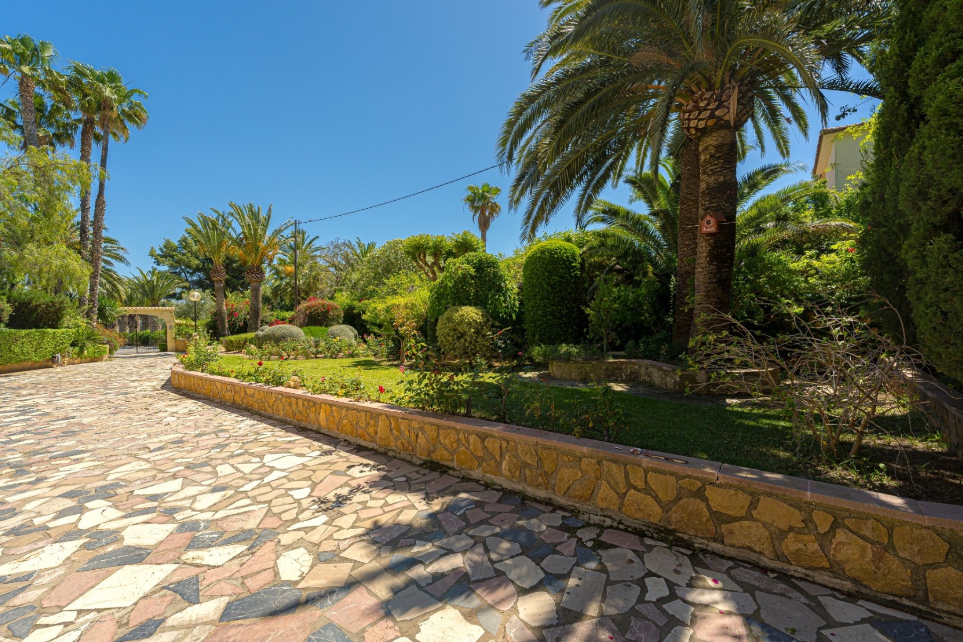 Reventa - Finca - Alfas del Pí
