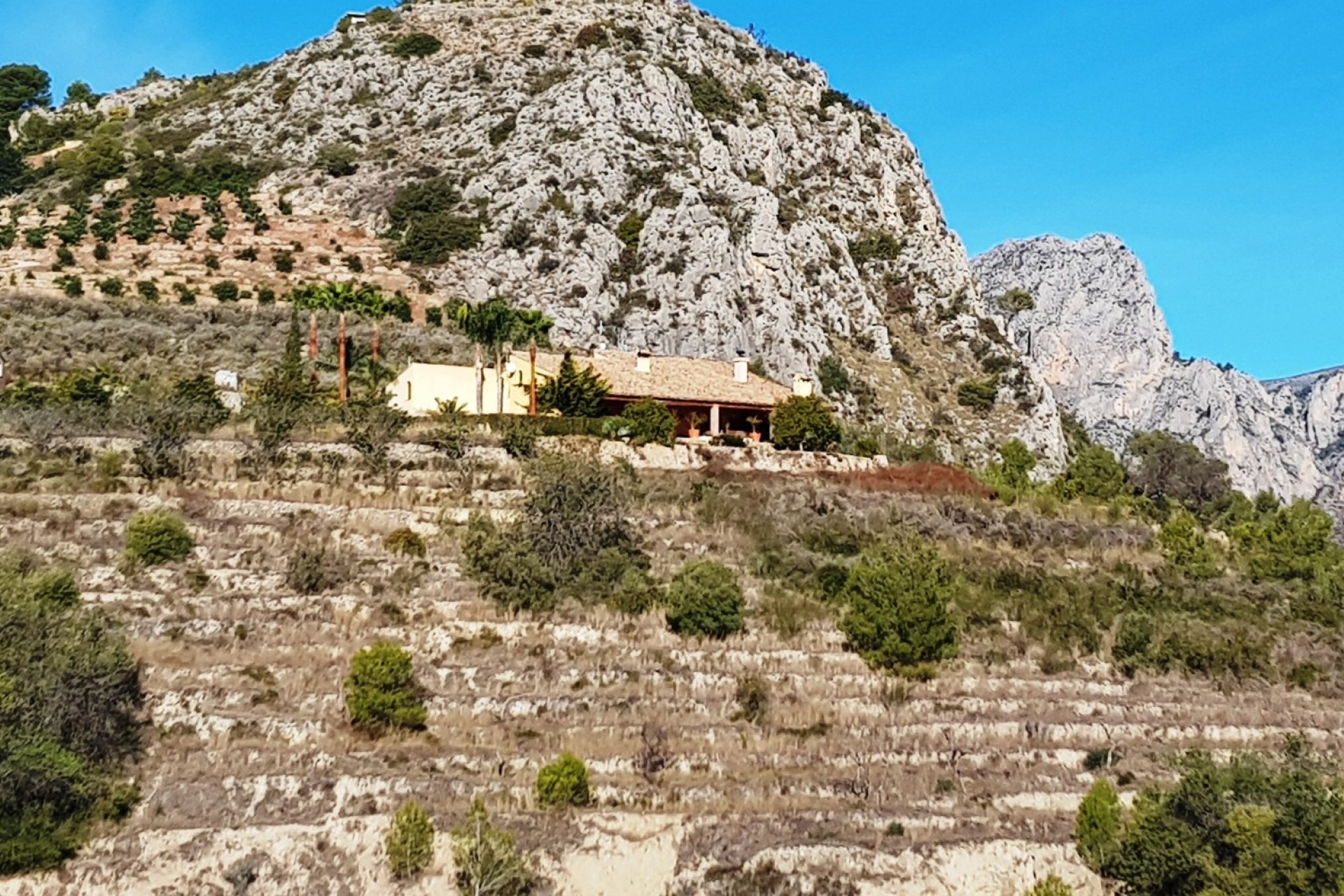 Reventa - Finca - Bolulla