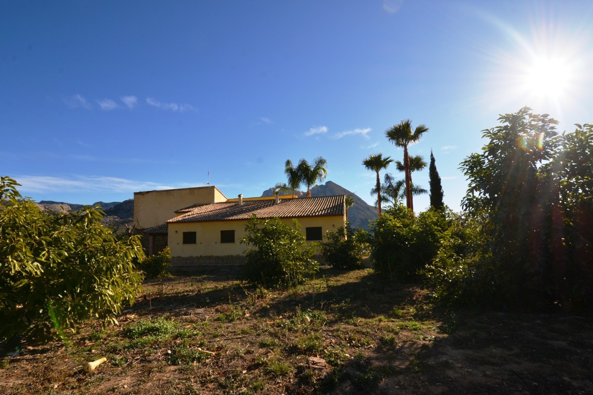 Reventa - Finca - Bolulla