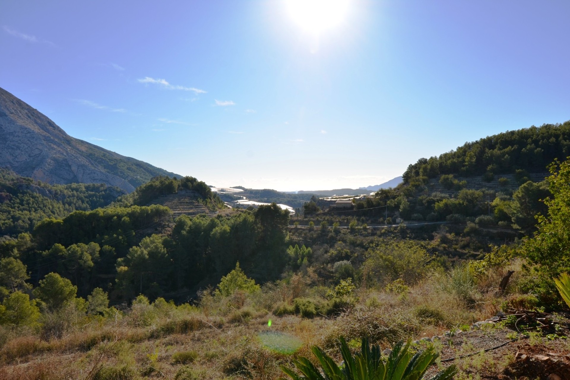 Reventa - Finca - Bolulla