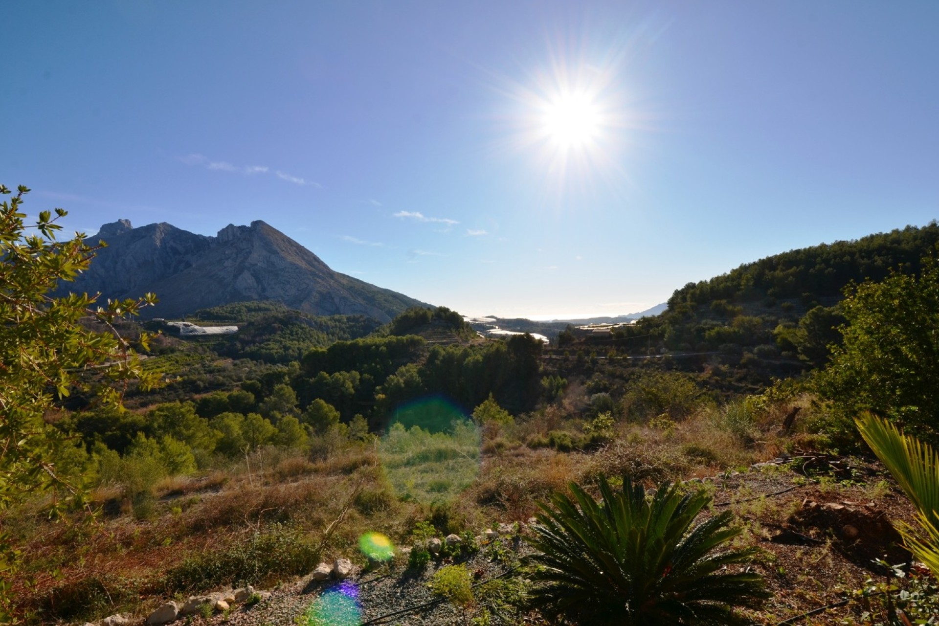 Reventa - Finca - Bolulla