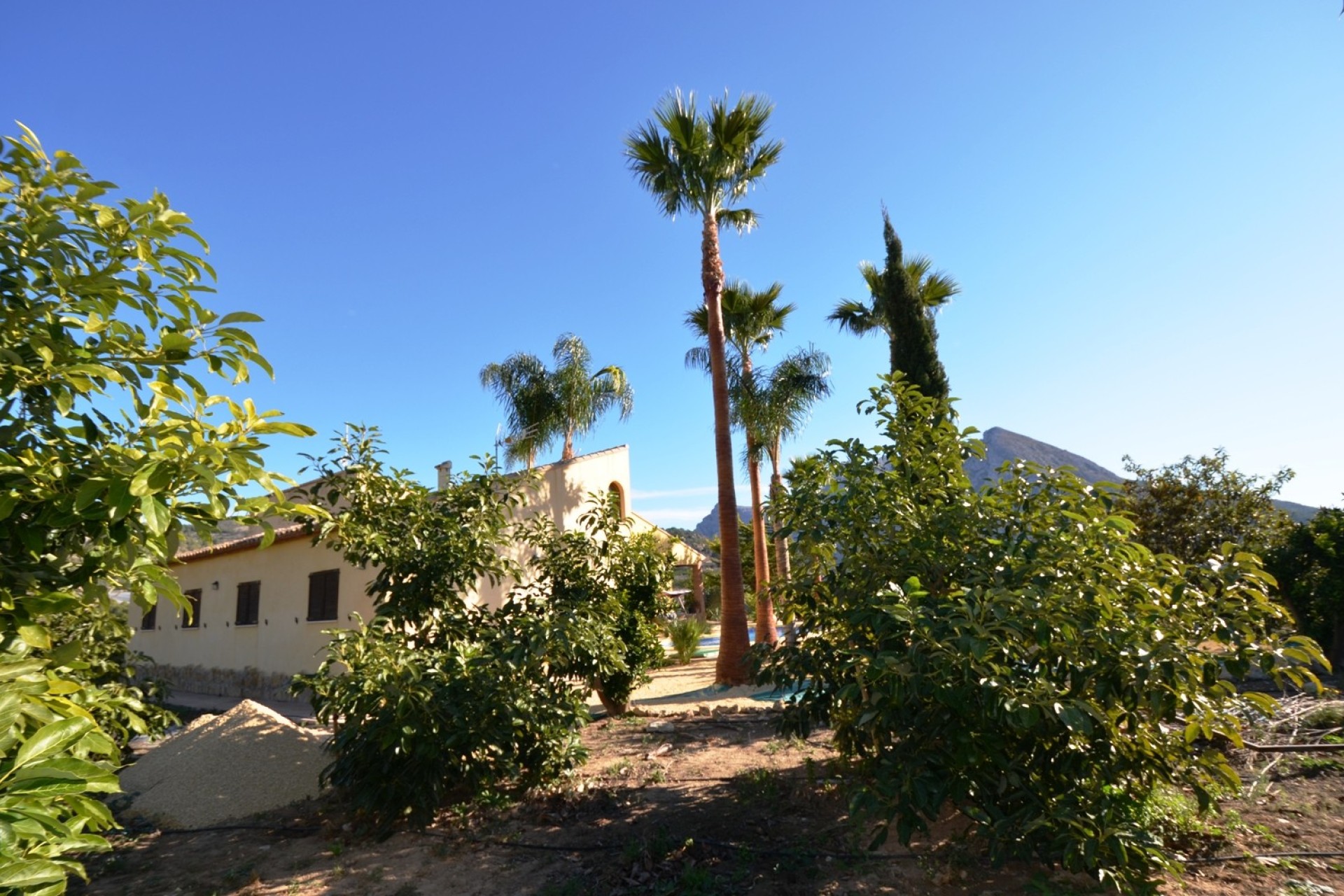 Reventa - Finca - Bolulla