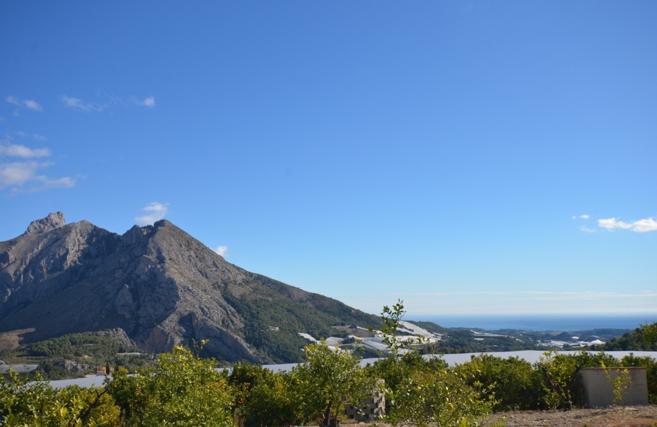 Reventa - Finca - Bolulla