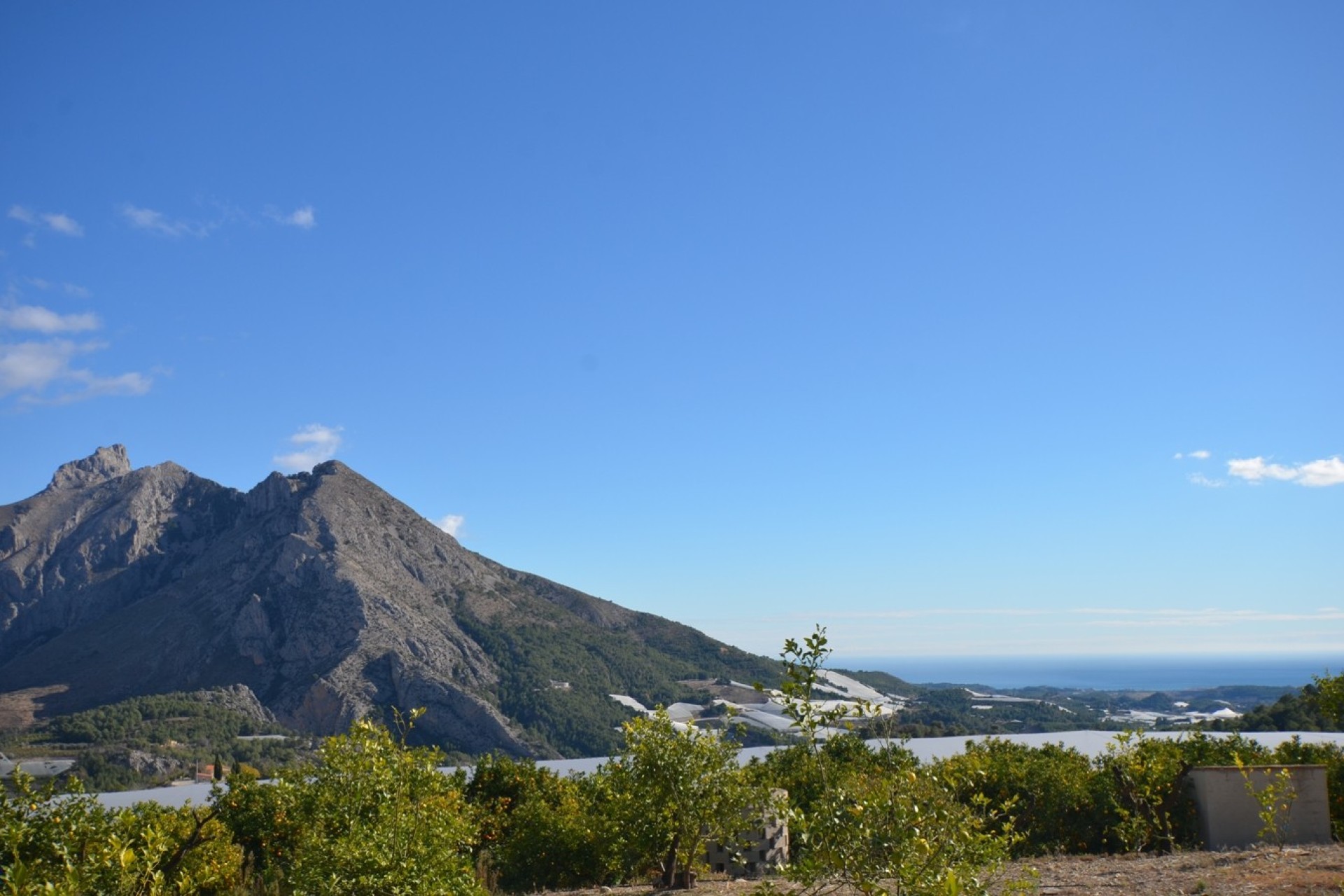 Reventa - Finca - Bolulla