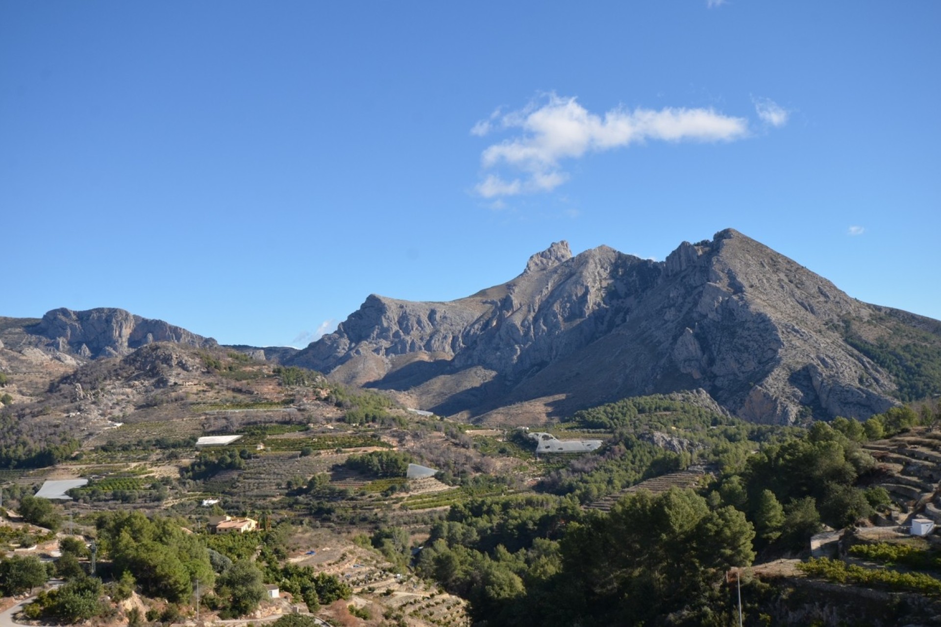 Reventa - Finca - Bolulla