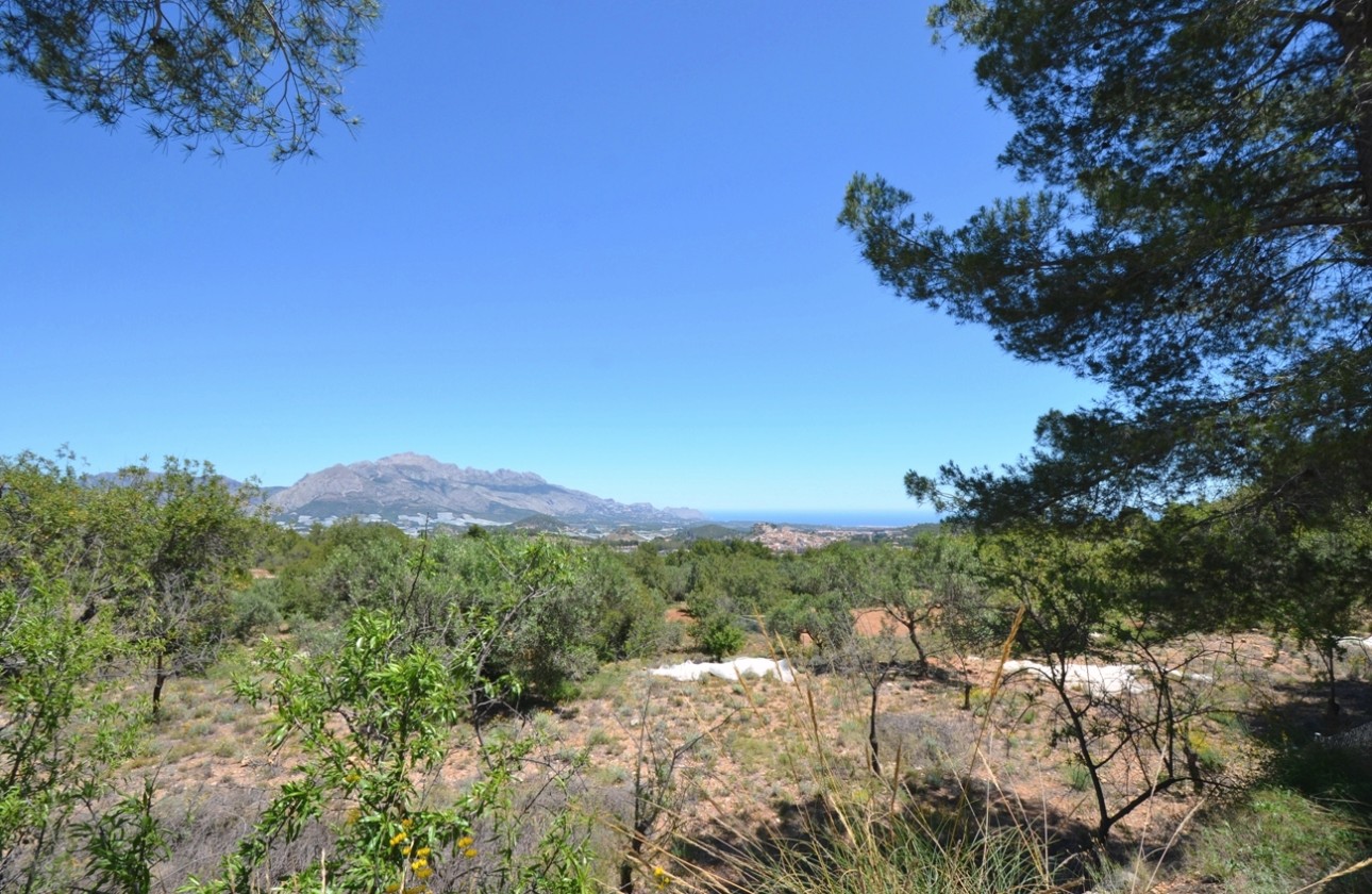 Reventa - Finca - Polop
